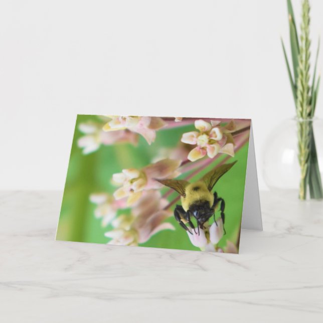 Carte Terre verte (Devant)