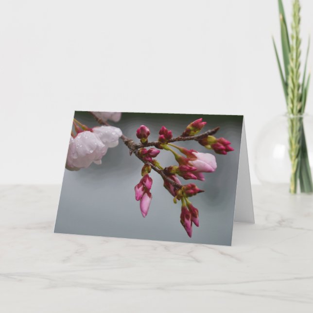 Carte Terre verte (Devant)