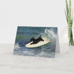 Carte Terrier Écossais en train de surfer