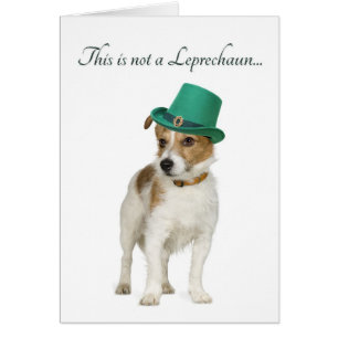 Carte Terrier Leprechaun Funny