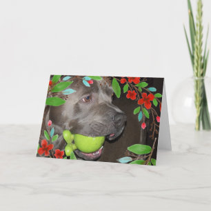 Carte Terrier Pitbull mignon avec cadre de fleurs rouges