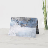 TERRITOIRES Hivernaux DU LOUP