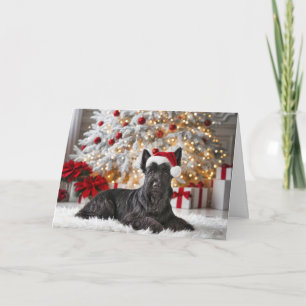 Carte Tervueren Noël