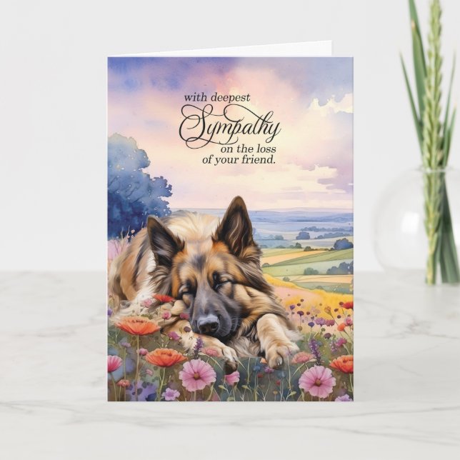 Carte Tervuren Belge Champ de Fleur sauvage Sympathie po (Devant)