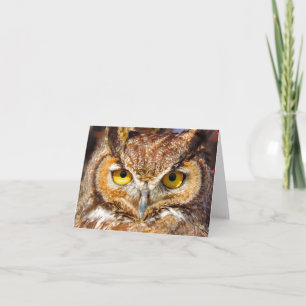 Carte Tête de hibou - Yeux (Chouette de la Grande Corne)
