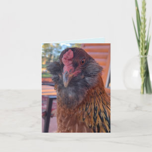 Carte Tête de poulet barbu drôle en gros plan