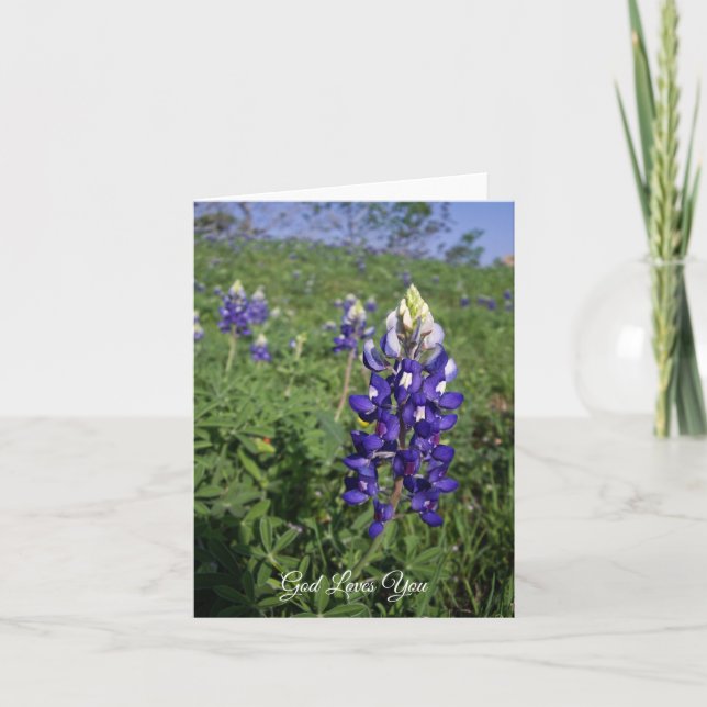 Carte Texas Bluebonnet Christian John 3:16 Blanc à l'int (Devant)