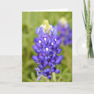 Carte Texas Bluebonnet Flower Close Portrait Art Card