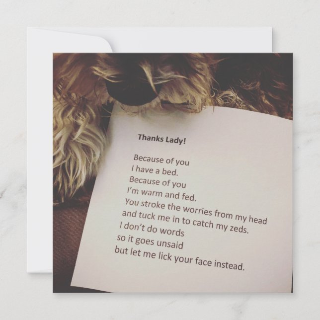 Carte Thank You Card de Dog (Devant)