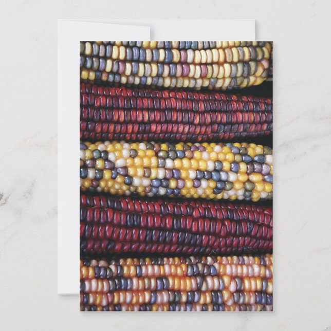 Carte Thanksgiving 5x7 (Devant)