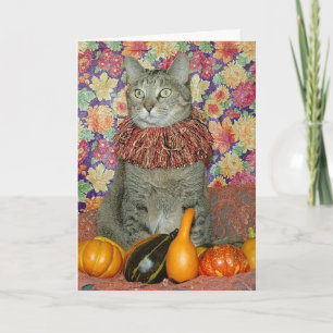 Carte Thanksgiving Brown tabby cat ou Autumn