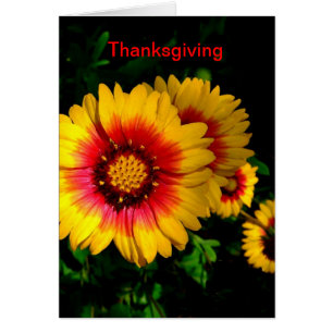 Carte Thanksgiving, Fleurs Jaunes Jaunes Gaies Et 