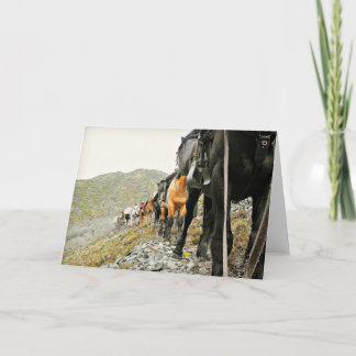 Carte The Beauty of Chisana