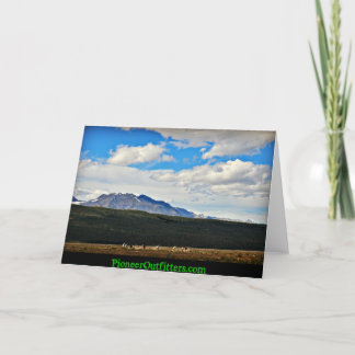 Carte The Beauty of Chisana