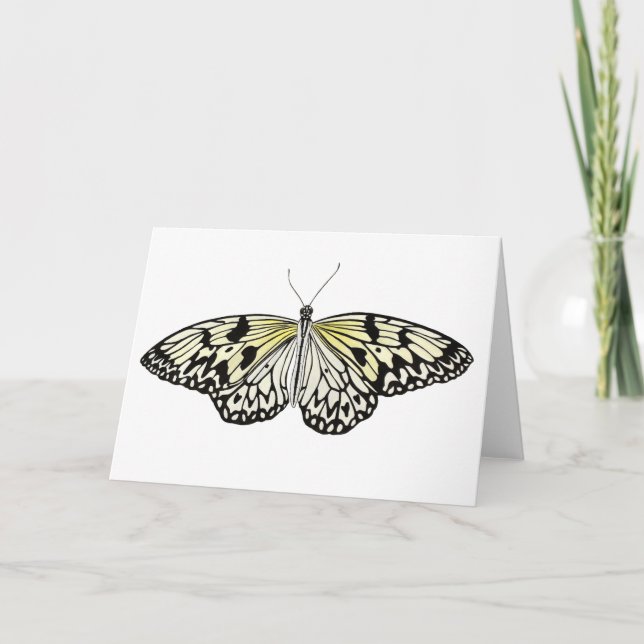 Carte The Paper Kite Butterfly (Devant)