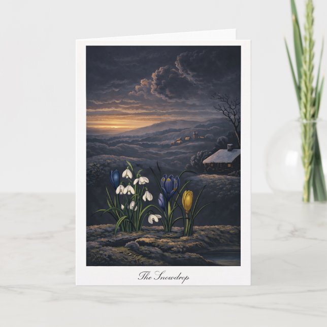 Carte The Snowdrop — Modern Botanical Reinterpretation (Devant)
