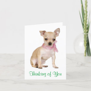 Carte Thinking of You Chihuahua Puppy Dog Greeting Card