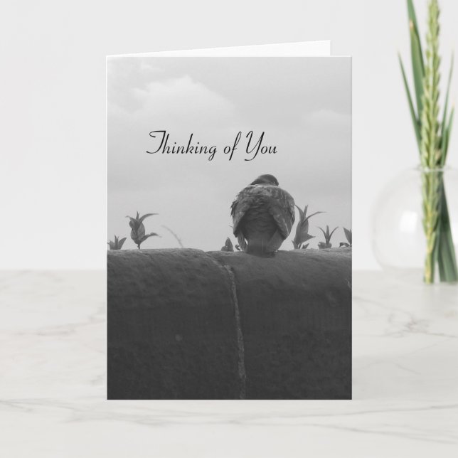 Carte Thinking of You Pigeon (Devant)