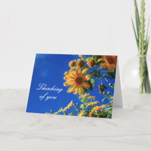 Carte Thinking of You Yellow Flowers Moderne Sympathy