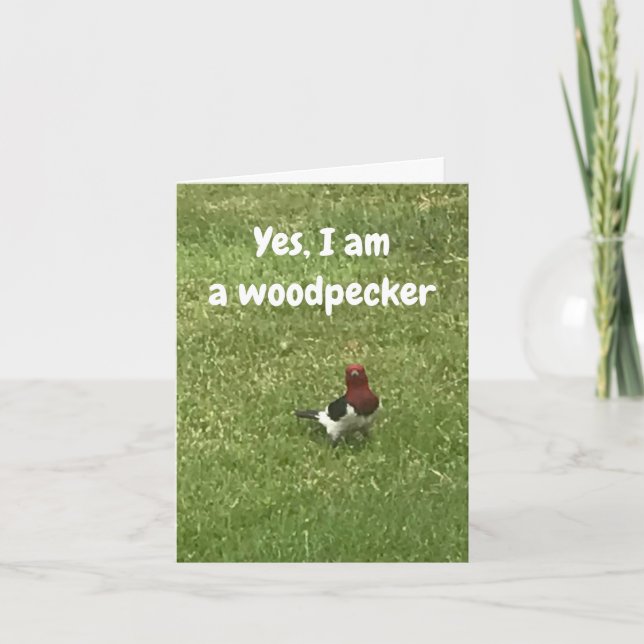 CARTE **THOUGHTFUL WOODPECKER DIT HEUREUX ANNIVERSAIRE** (Devant)