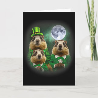 Carte Three Groundhog Moon 3 Groundhog Day Head St Patri