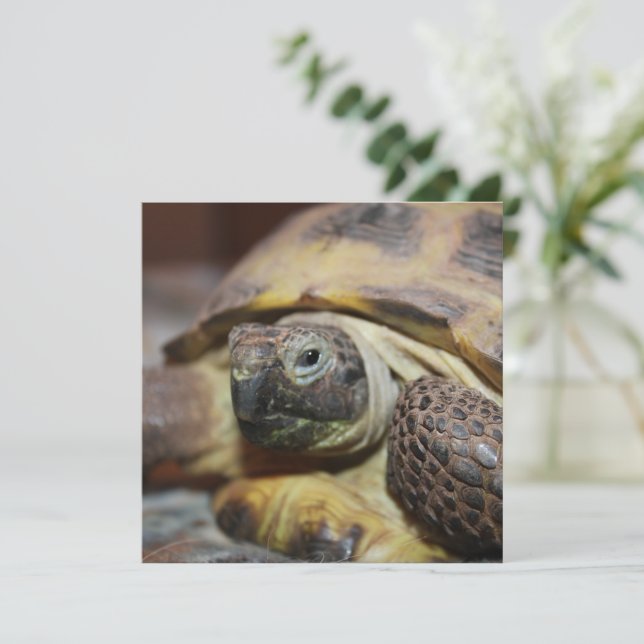 Carte Tibbs (Debout devant)