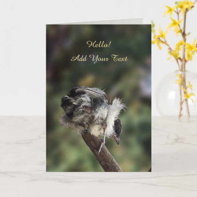 Carte Tidi my Bird le Parus Major (Fleur jaune)