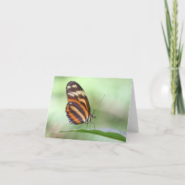 Carte Tiger