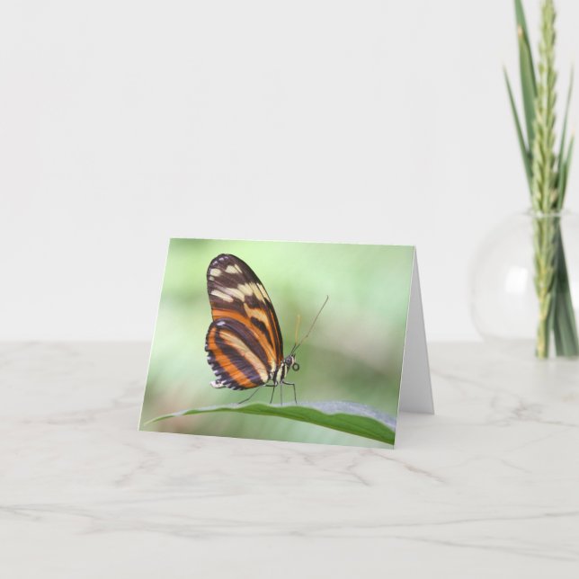 Carte Tiger (Devant)
