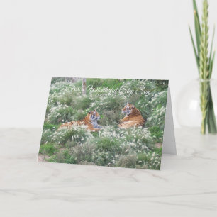 Carte Tigers Step Son Anniversaire