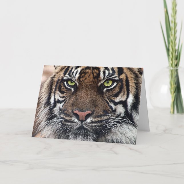 Carte Tigre (Devant)