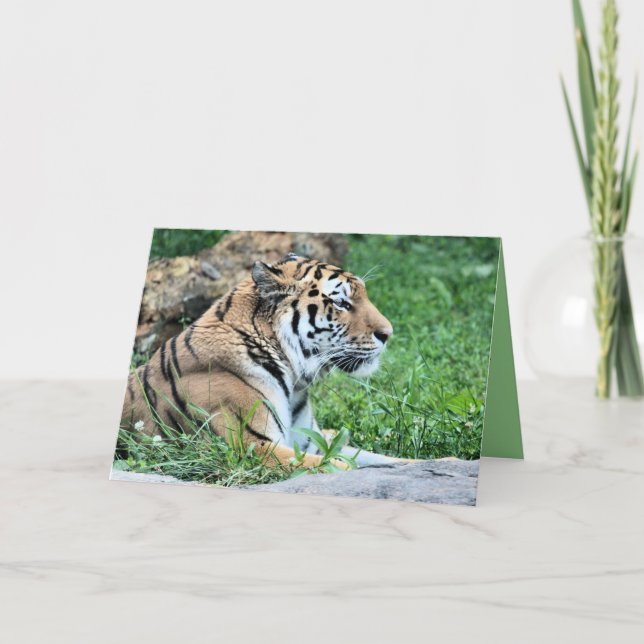 Carte Tigre (Devant)