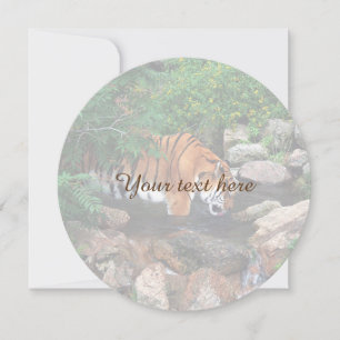 Carte Tigre à la baisse