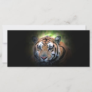 Carte Tigre - Big Cat sauvage