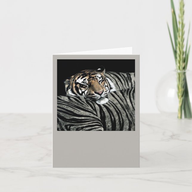 Carte Tigre couchant (Devant)