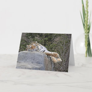 Carte Tigre "Lazy Day"