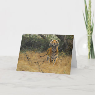 Carte Tigre sur la montre   Wilhelm Kuhnert