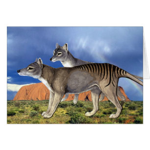 Carte Tigre Tasmanienne
