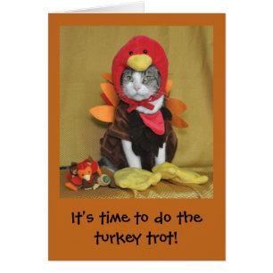 Carte tigrée et blanche de thanksgiving de chat