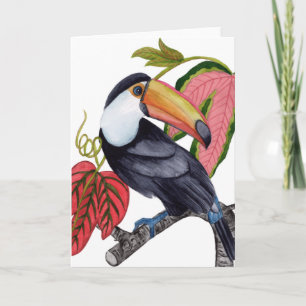 Carte Toco Toucan
