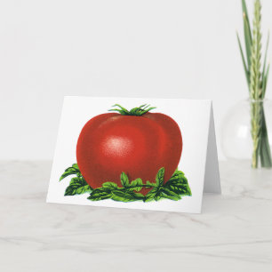 Carte Tomate rouge vintage, légumes et fruits