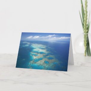 Carte Tongue Reef, Great Barriere Marine Park,