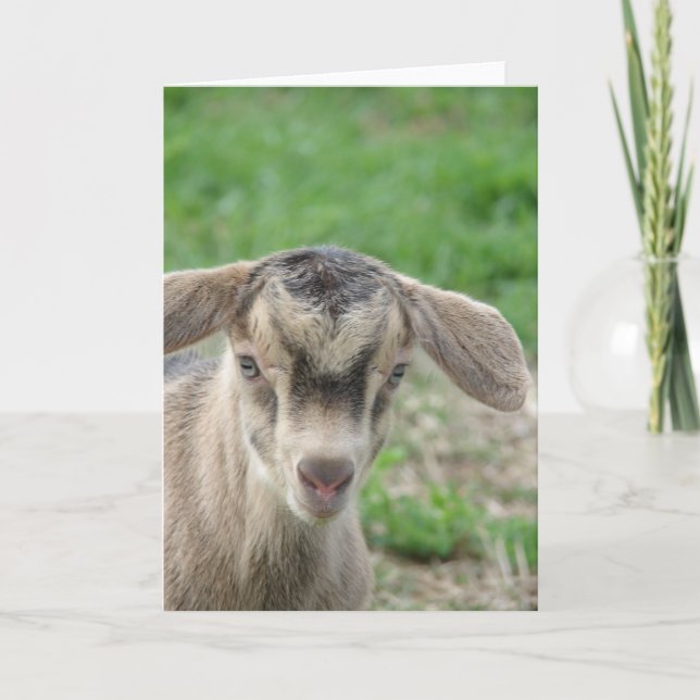 Carte Tonnerre à un jour (Devant)