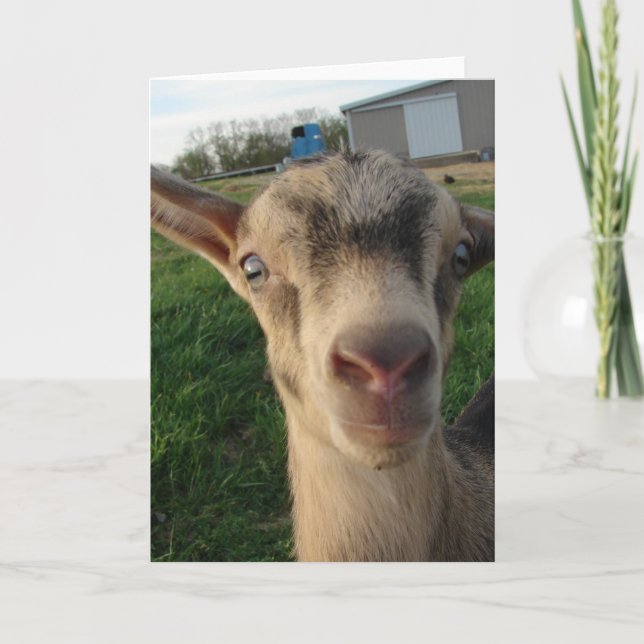 Carte Tonnerre à une semaine (Devant)