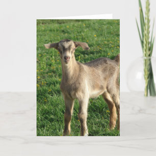 Carte Tonnerre à une semaine