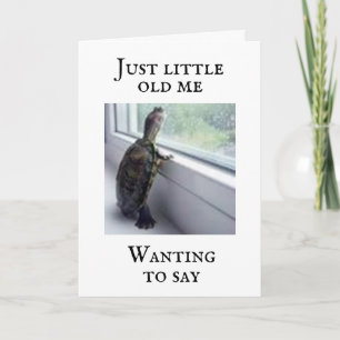 CARTE "TORTLE COMÉDIQUE DIT "TU ES VIEUX"