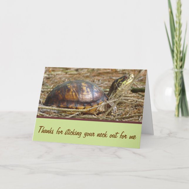 Carte Tortue - Sortie du cou (Devant)