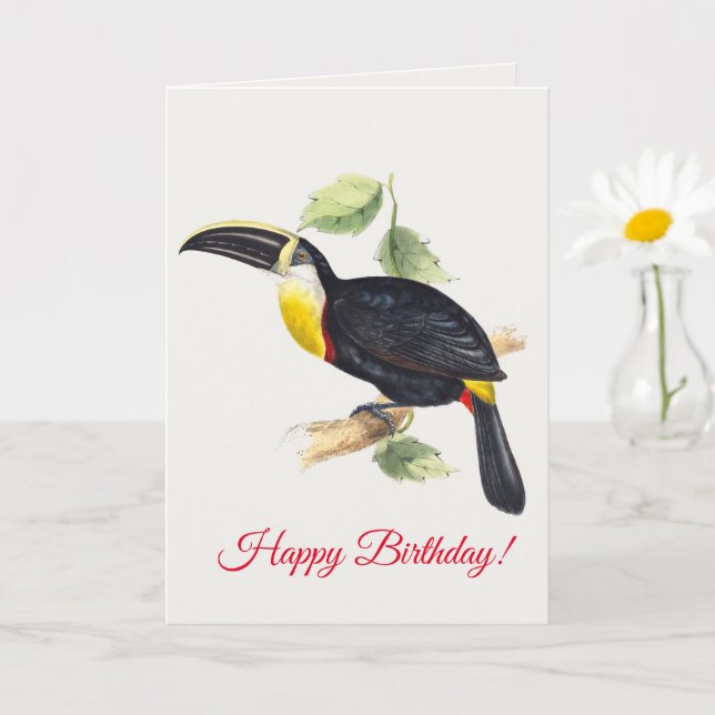 Carte Toucan (Petite plante)