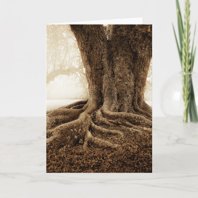 Carte Touching_Earth_MW1104 (Devant)