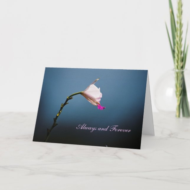 Carte Toujours et pour toujours (Devant)